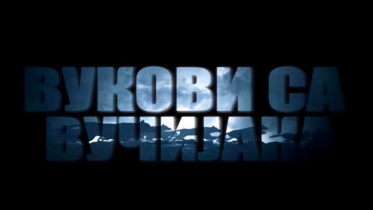 Dokumentarni film 