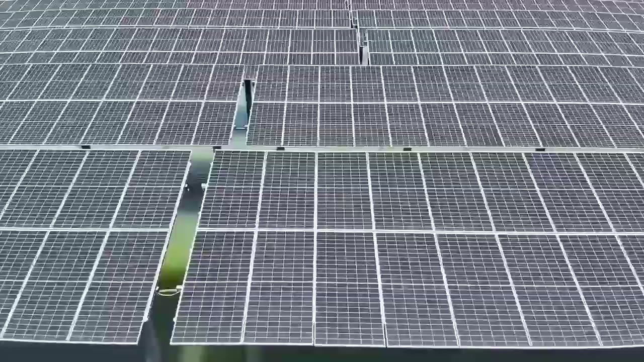 China-EU green energy partnership drives sustainable development across borders