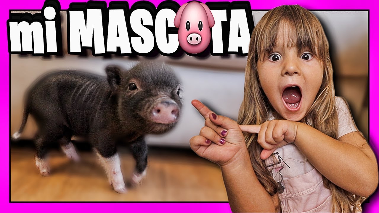 24 HORAS CON MI MASCOTA 🐷 TENGO UNA MASCOTA NUEVA