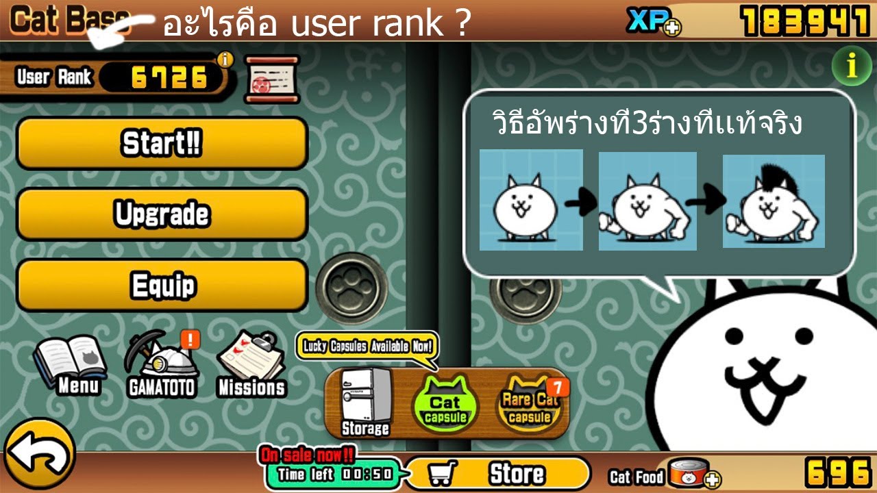 battle cat guide : อะไรคือuser rank?