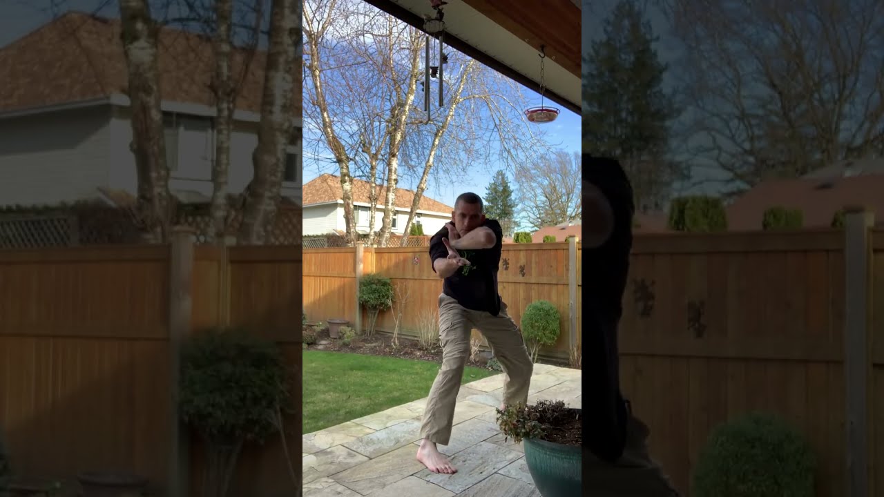 Tachi Chi and Bagua martial arts exercises