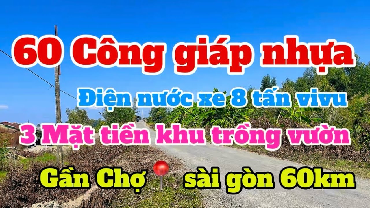 (Số 865) Một Tiềm Năng Lớn👉60 Công👉Giá rẻ💥Gần Chợ Các Tiện Ích-Về Sài Gòn 60km 