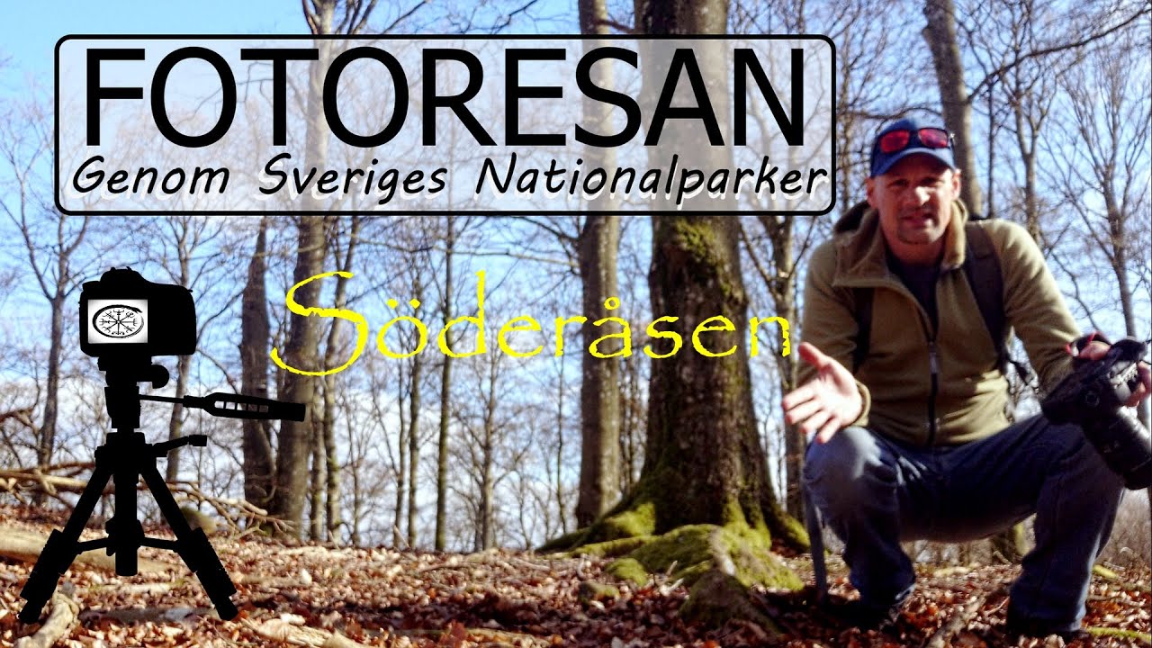 FotoResan - Söderåsen NationalPark. Bokskogens första grönska