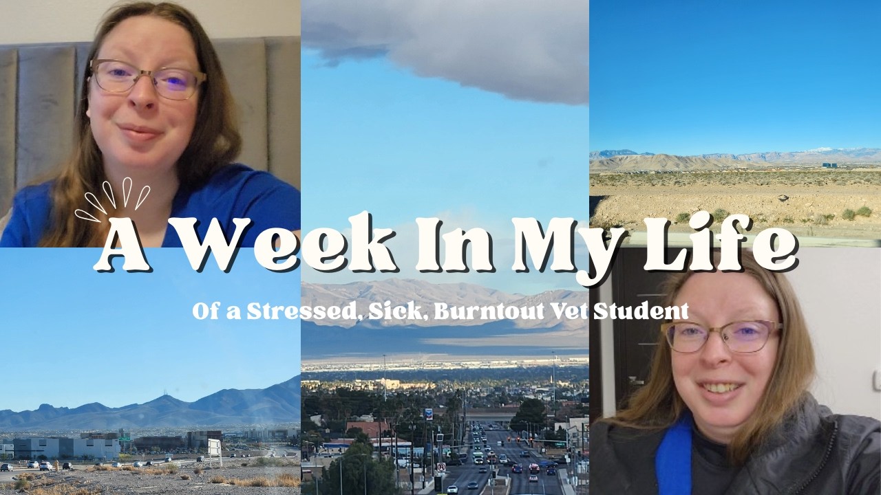 Week in the Life of a Veterinary Student Extern at NAVE Veterinary Group