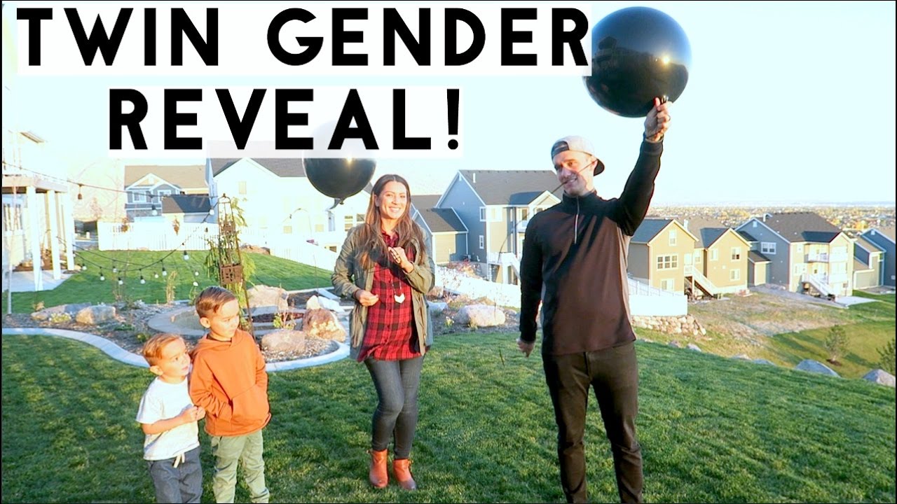 TWIN GENDER REVEAL VLOG!