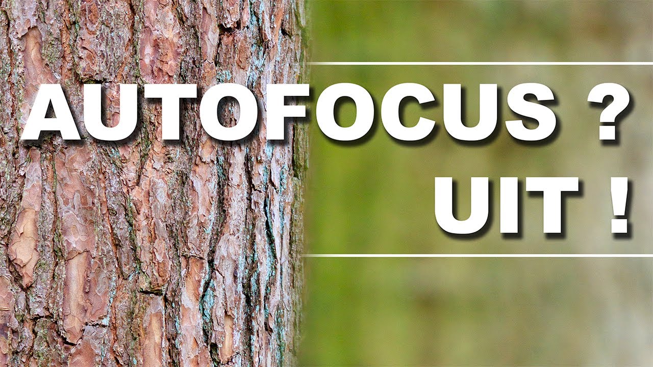 Waarom ik mijn Autofocus UIT zet – en jij dat ook zou moeten doen!