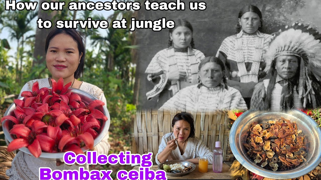 Collecting red silk cotton flower //We have  god gifted vegetables//#oldvillagelifevlogs