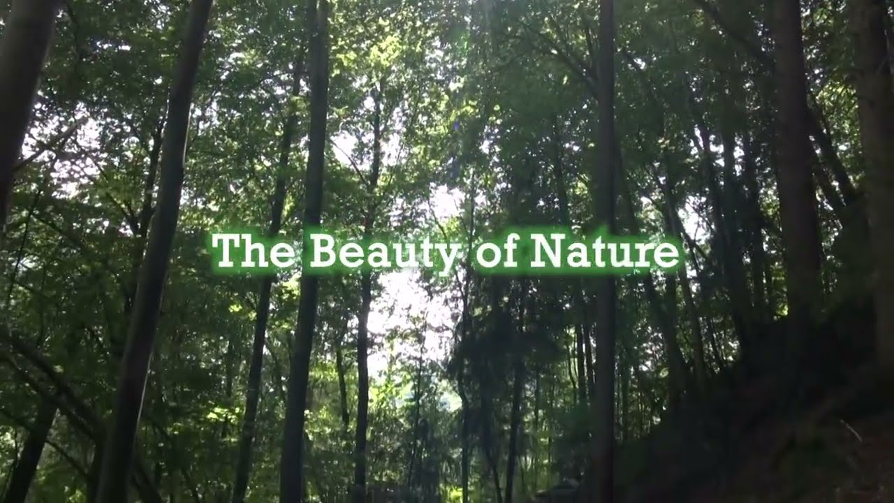 The Beauty of Nature - short film II Katia Scrimieri