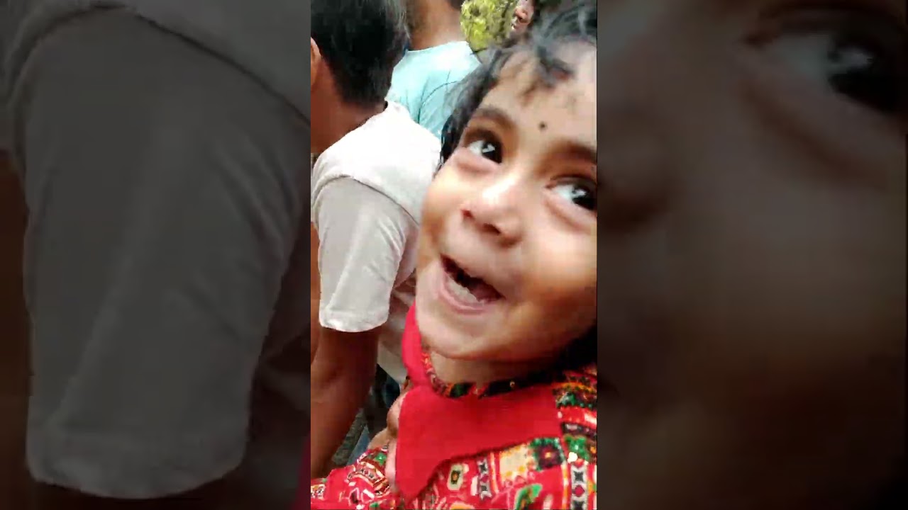 বানরের দুষ্টুমি আর ফাইজার হাসি—দিনটা হয়ে গেল স্পেশাল