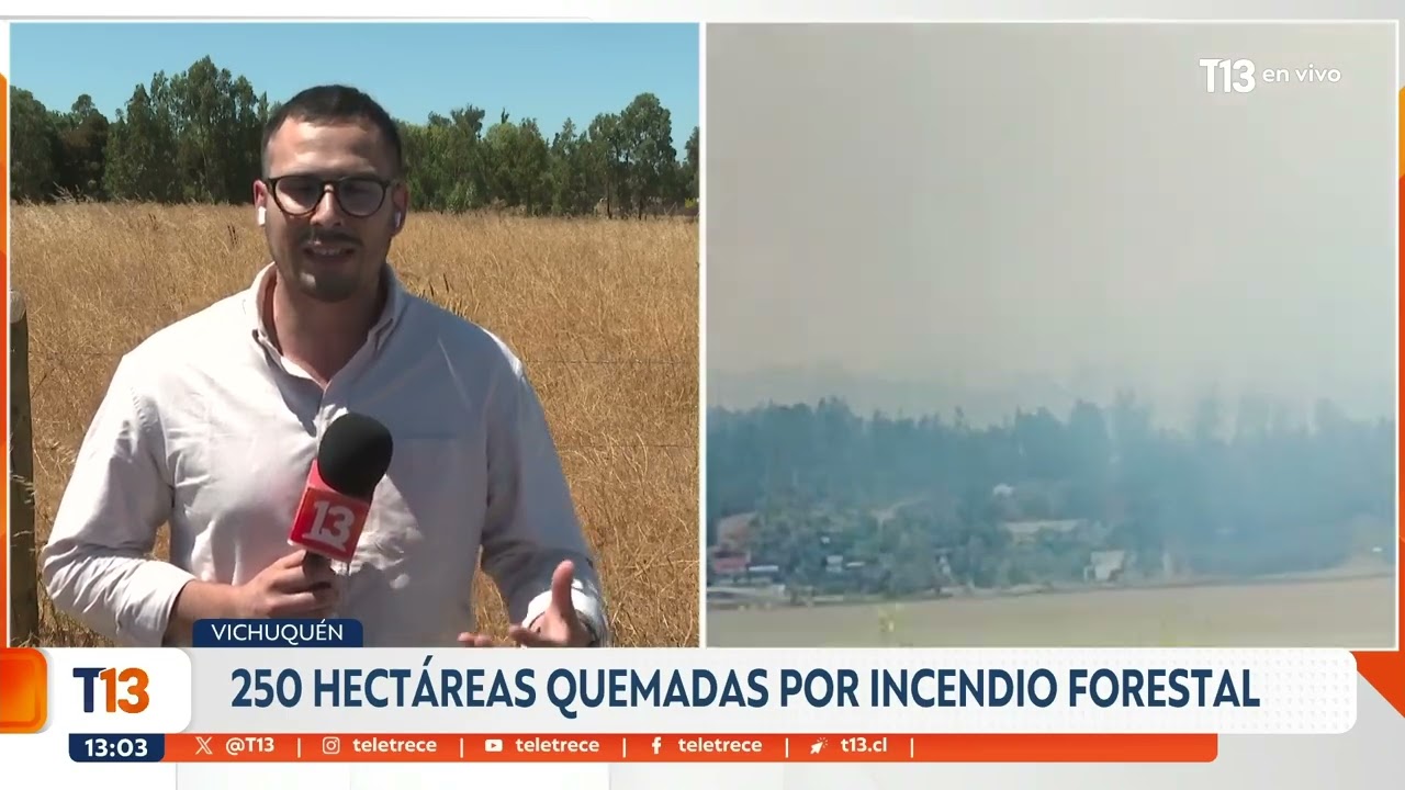 Alerta roja por incendio forestal en Vichuquén