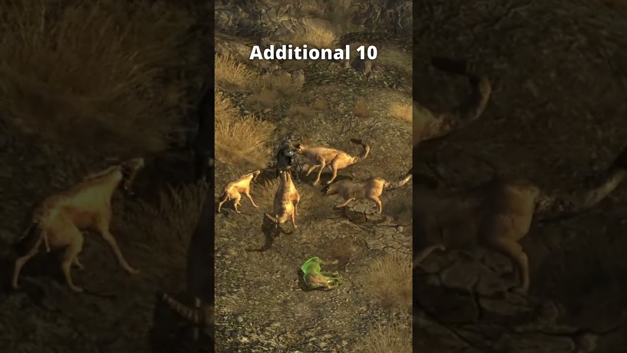 What Does Each Rex Brain Do in Fallout: New Vegas?