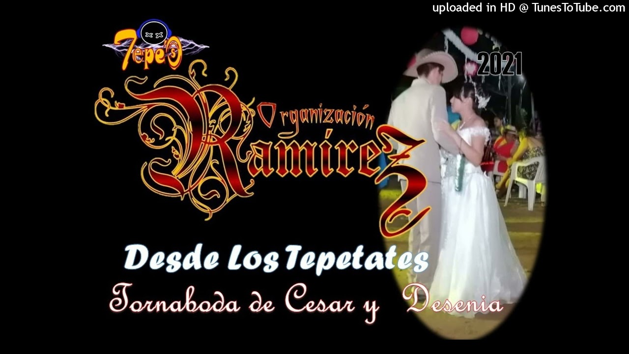 El Guayabo - Organizacion Ramirez [en vivo 2021]