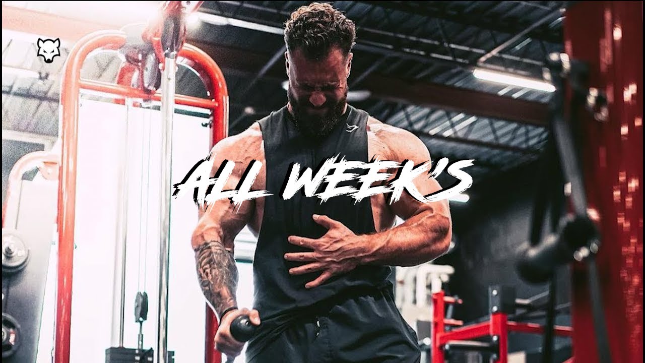 BAD WOLF 🐺 - ALL WEEK'S