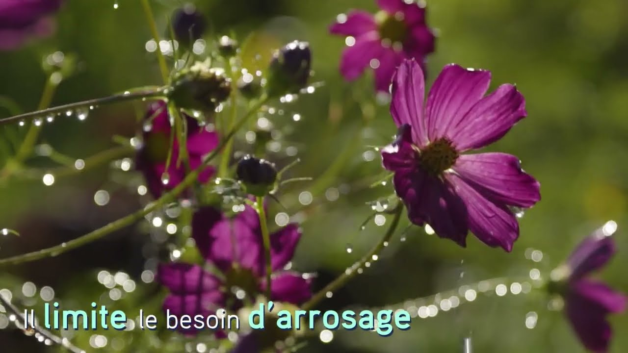 Composter, c’est facile ! Épisode 6 / Quand et comment retirer mon compost ?