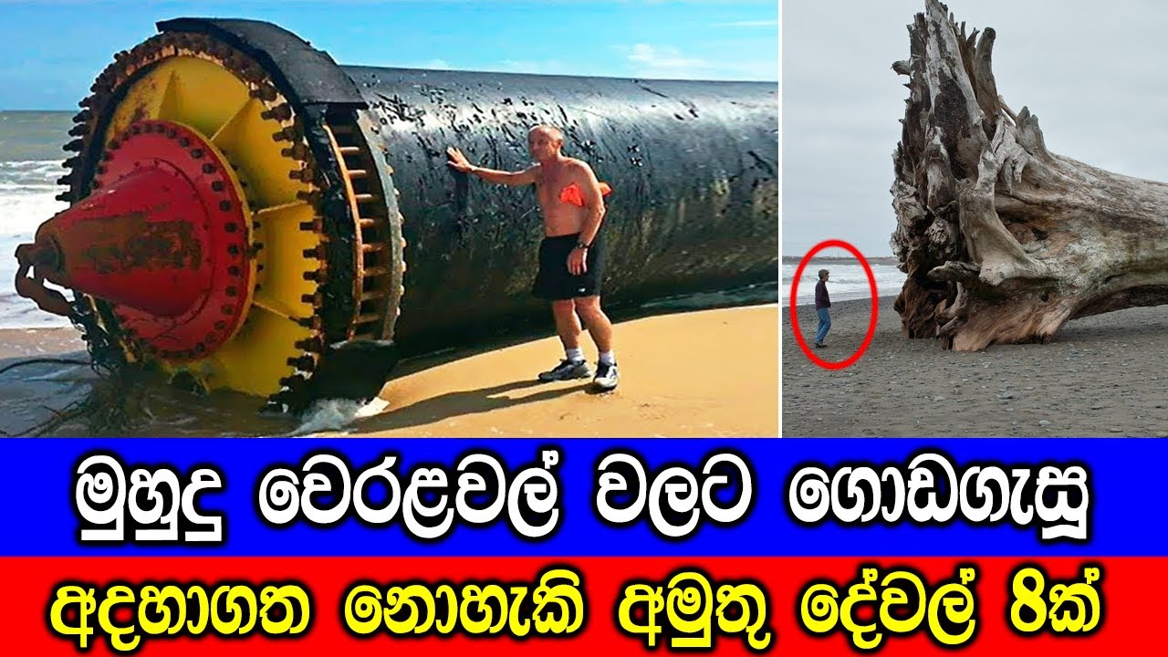 මුහුදු වෙරළවල් වලට ගොඩගැසූ අමුතු දේවල්. | 08 Unexpected Things Found On The Beaches.