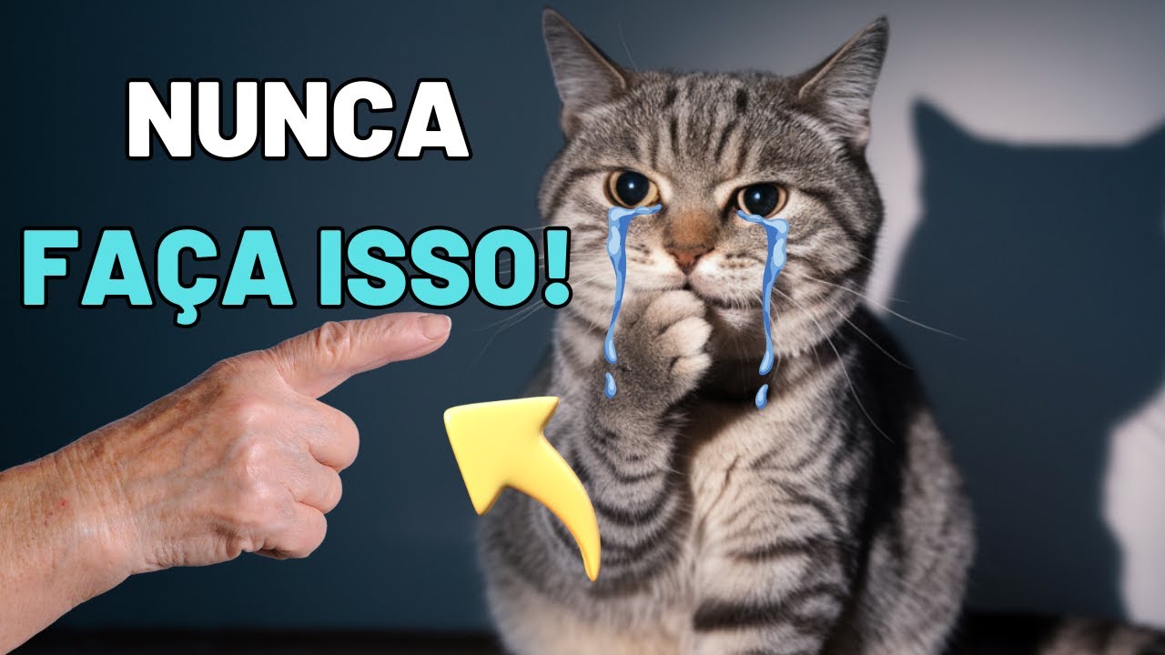 🚨Cuidado! 21 Coisas Que Você Está Fazendo Errado Com Seu Gato! 😿Evite Fazer Isso!