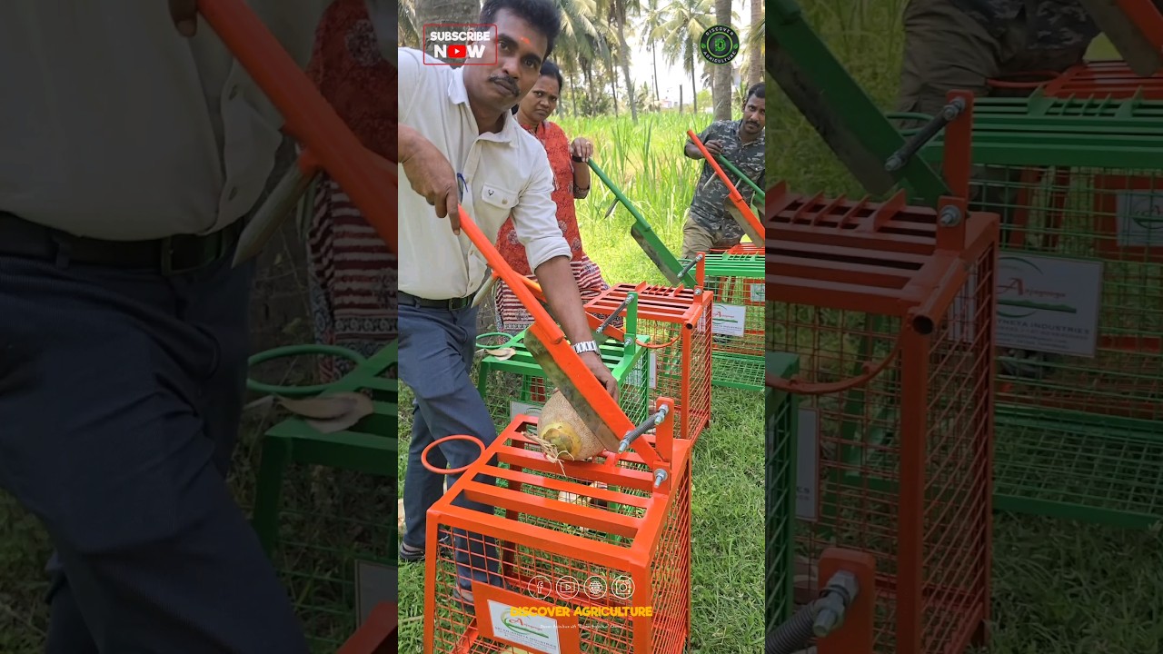 Amazing Tender Coconut Cutting and Punching Machine