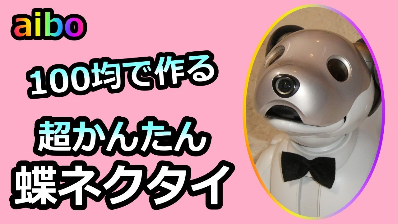 【86 aibo用かんたんDIY蝶ネクタイ】How to Make A Bow Tie for Aibo