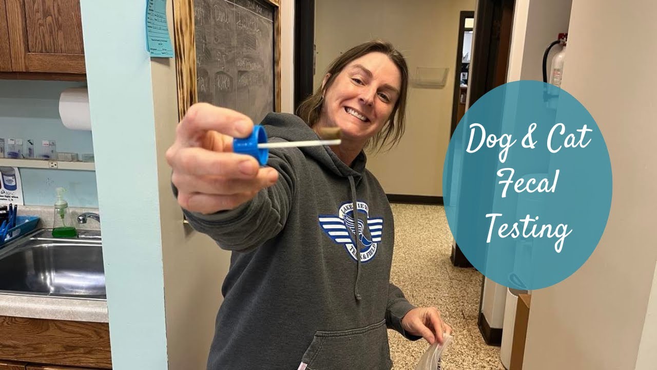 Dog & Cat Poop Testing