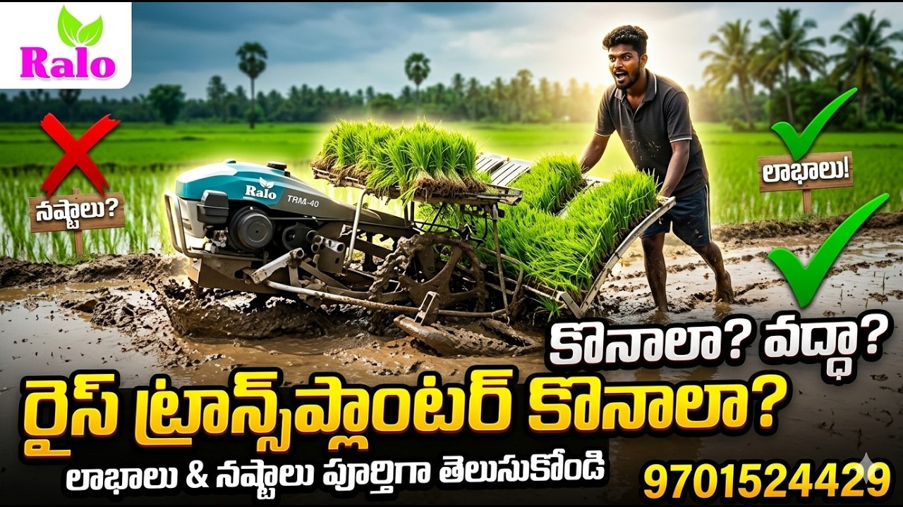 రాలో మిషిన్ కి నారు పోసుకునే విధానం|| ralo agro genetics#best quality in rice transplanters