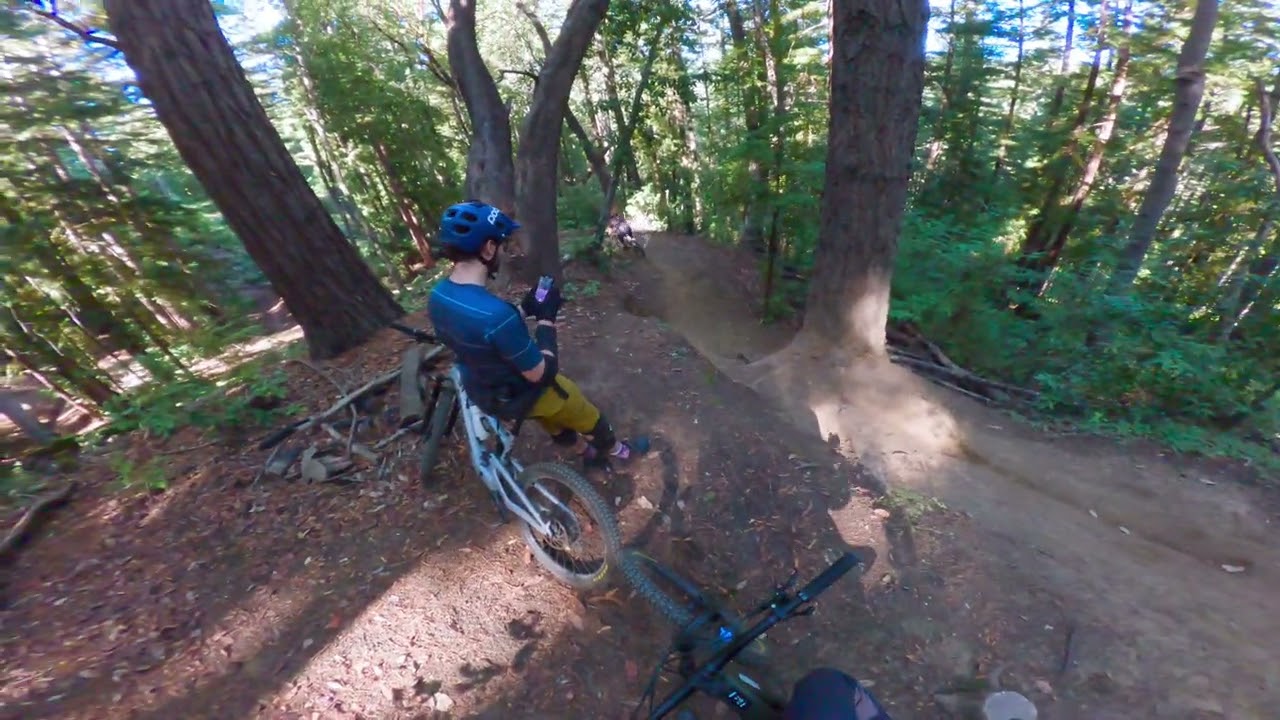 Sons try to keep up with shredder dad at demo forest 