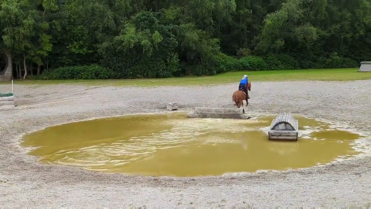 Isaac XC schooling at Somerford Park