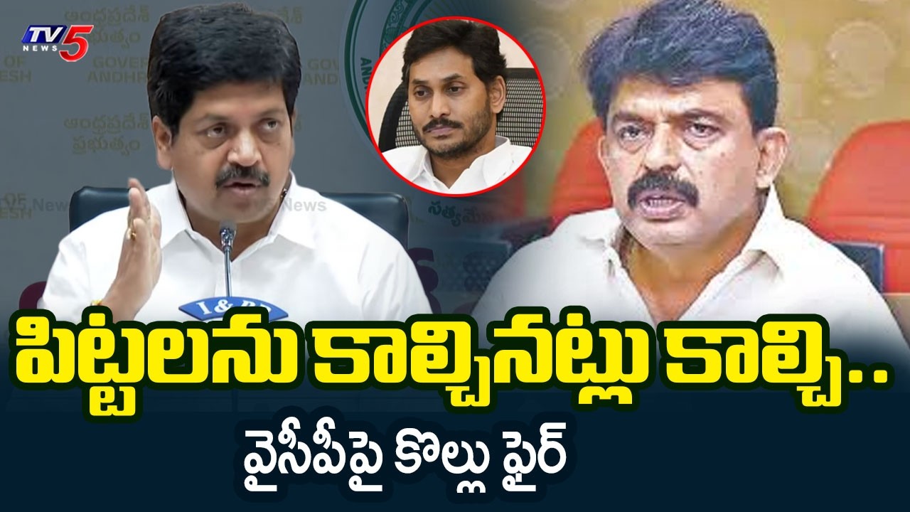 పిట్టలను కాల్చినట్లు కాల్చి..| Minister Kollu Ravindra Fires on YSRCP | YS Jagan | TV5 News