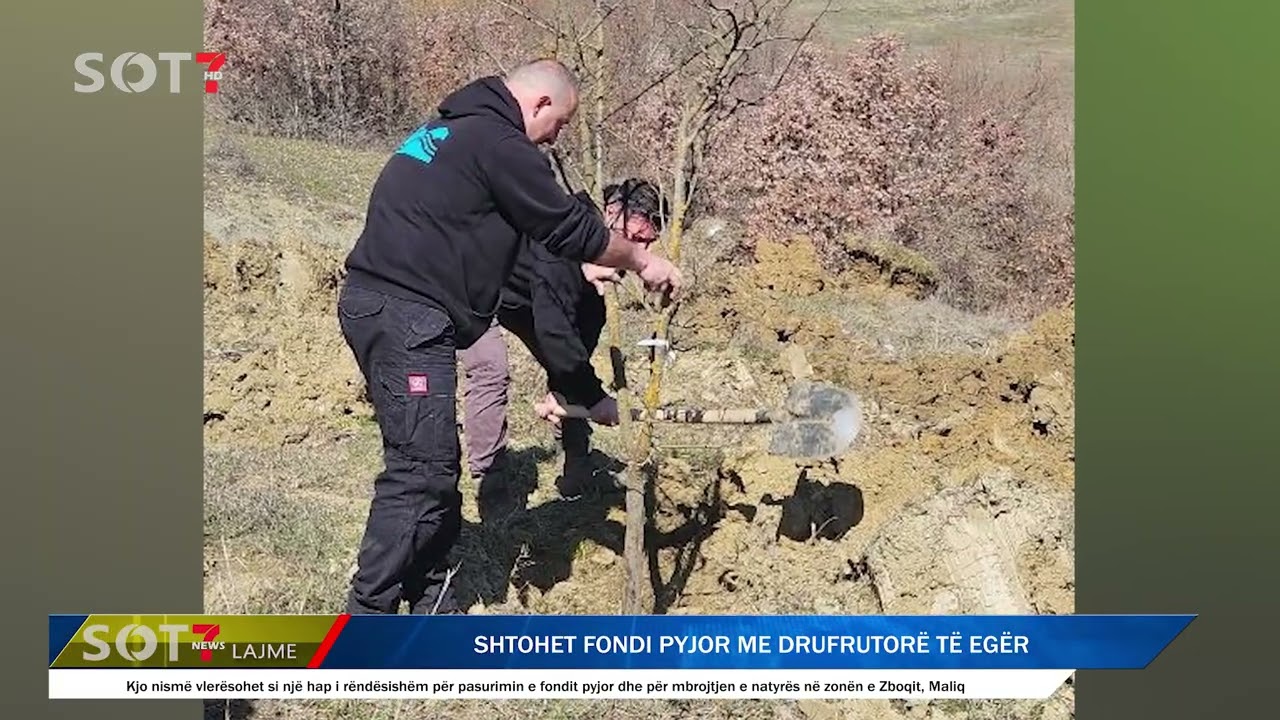 Shtohet fondi pyjor me drufrutorë të egër