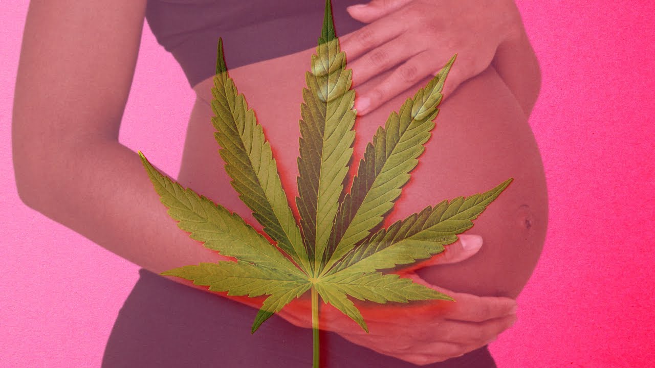 Moms Who Smoke While Pregnant: The Dangers of Pregnant Pot Use