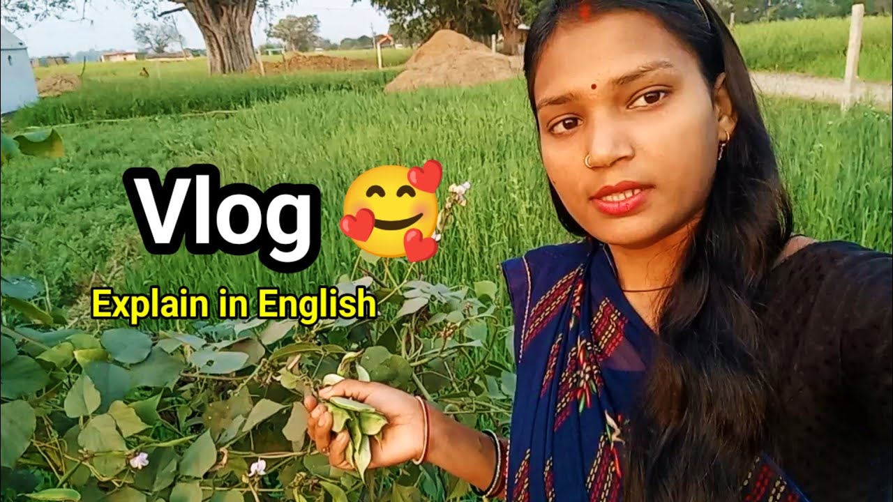Vlog session.....🤗 #learnify2day #english 