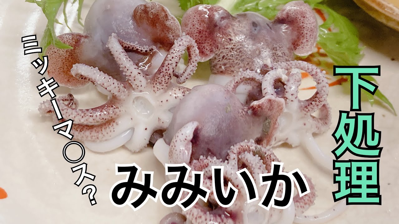 【ミミイカ】とても可愛らしい絶品食材の下処理方法です。　#みみいか　#下処理