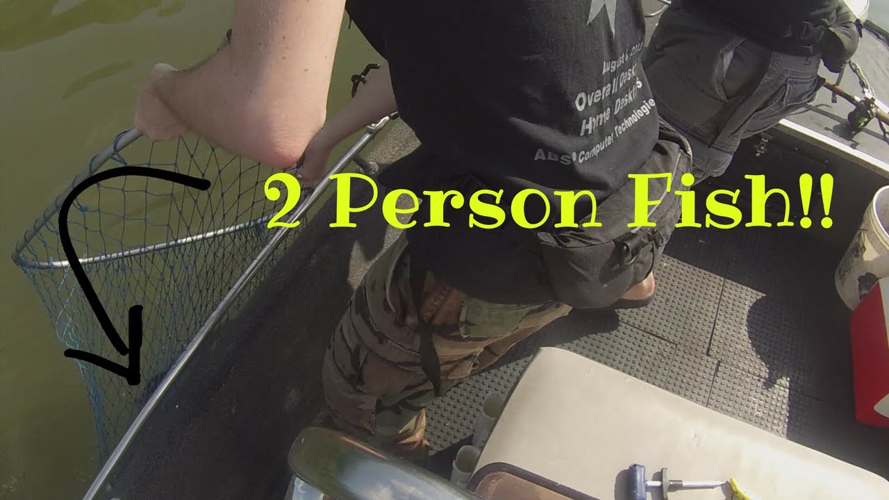 Giant Flathead Catfish Battles Two Brothers!!