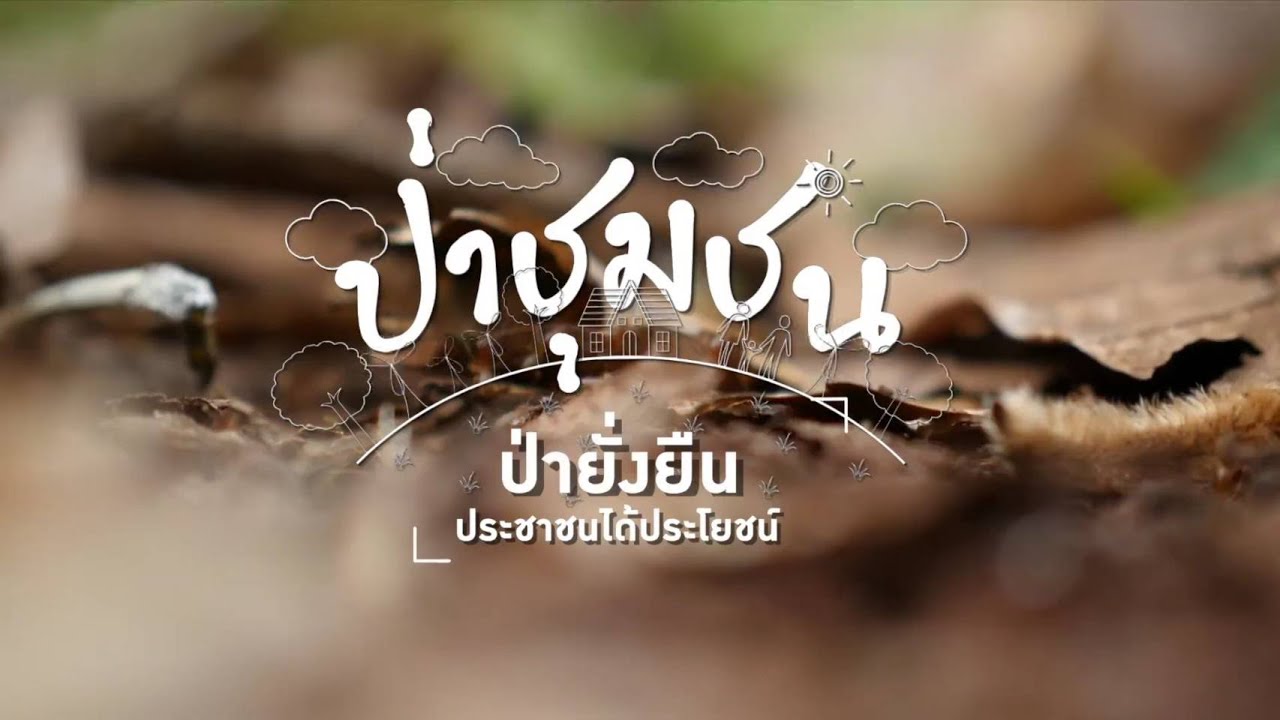 ป่าชุมชน-ป่ายั่งยืน ประชาชนได้ประโยชน์