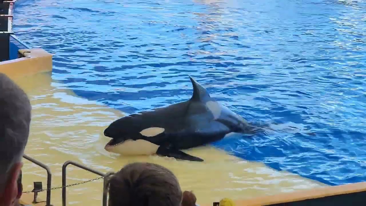 Loro Parque Animal Embassy Tenerife