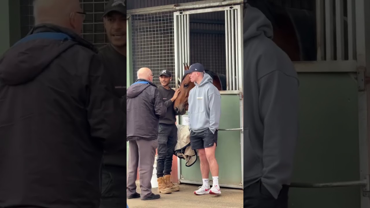 Open Stables Day at Flemington