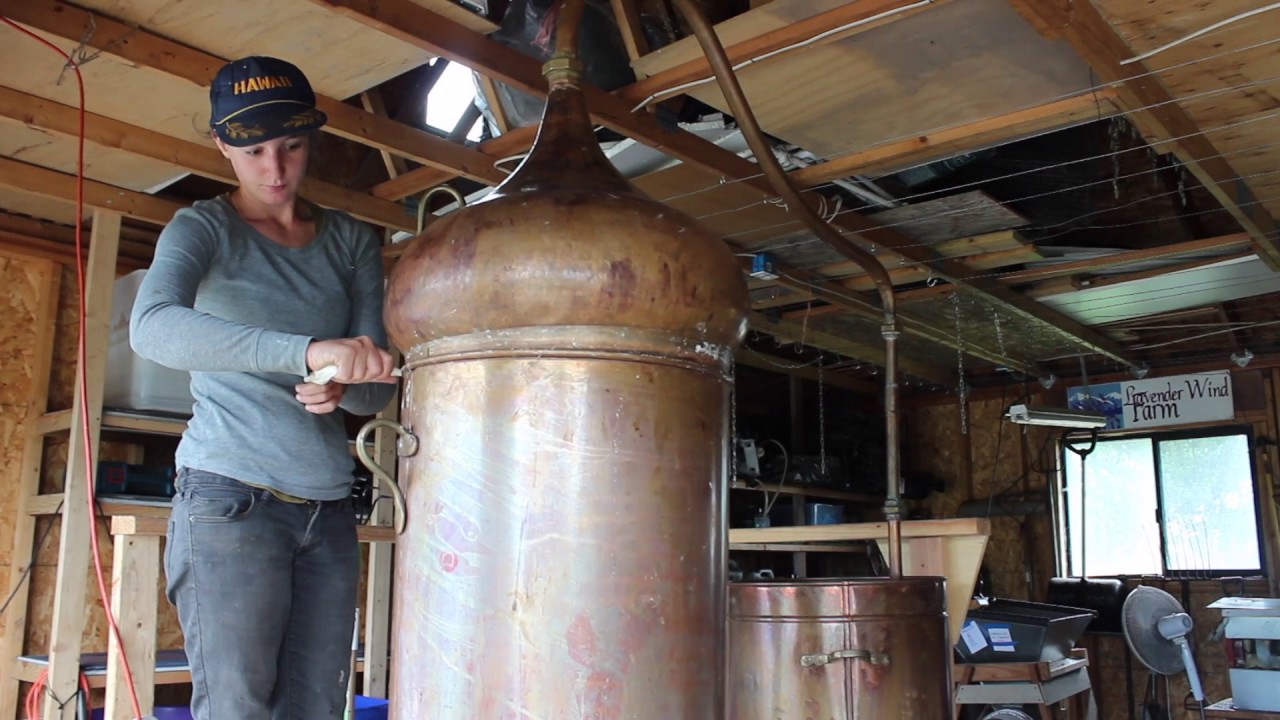 Distilling at Lavender Wind
