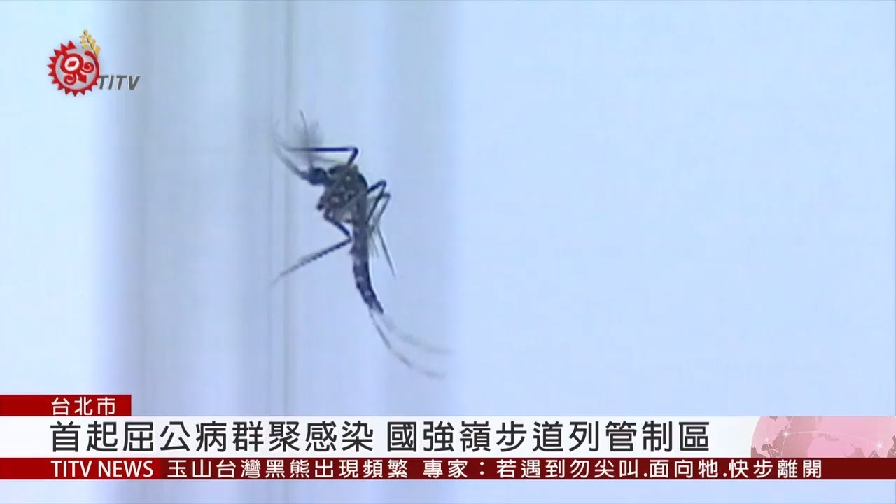 屈公病群聚感染風險高 籲民眾勿擅闖管制區 2019-09-05 IPCF-TITV 原文會 原視新聞