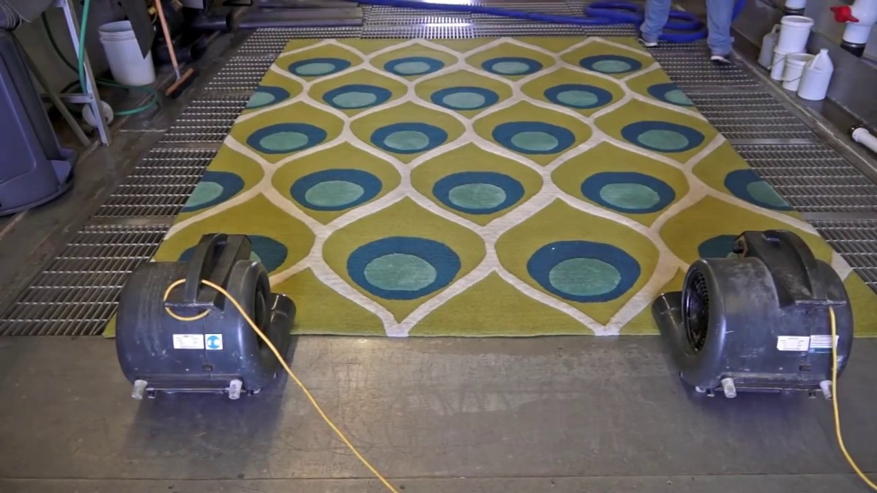 Cleaning wool rug from dog urine odor | PetPeePee
