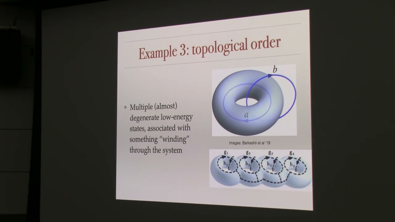 Fiona Burnell - “Symmetry, topology, and the many faces of condensed matter”