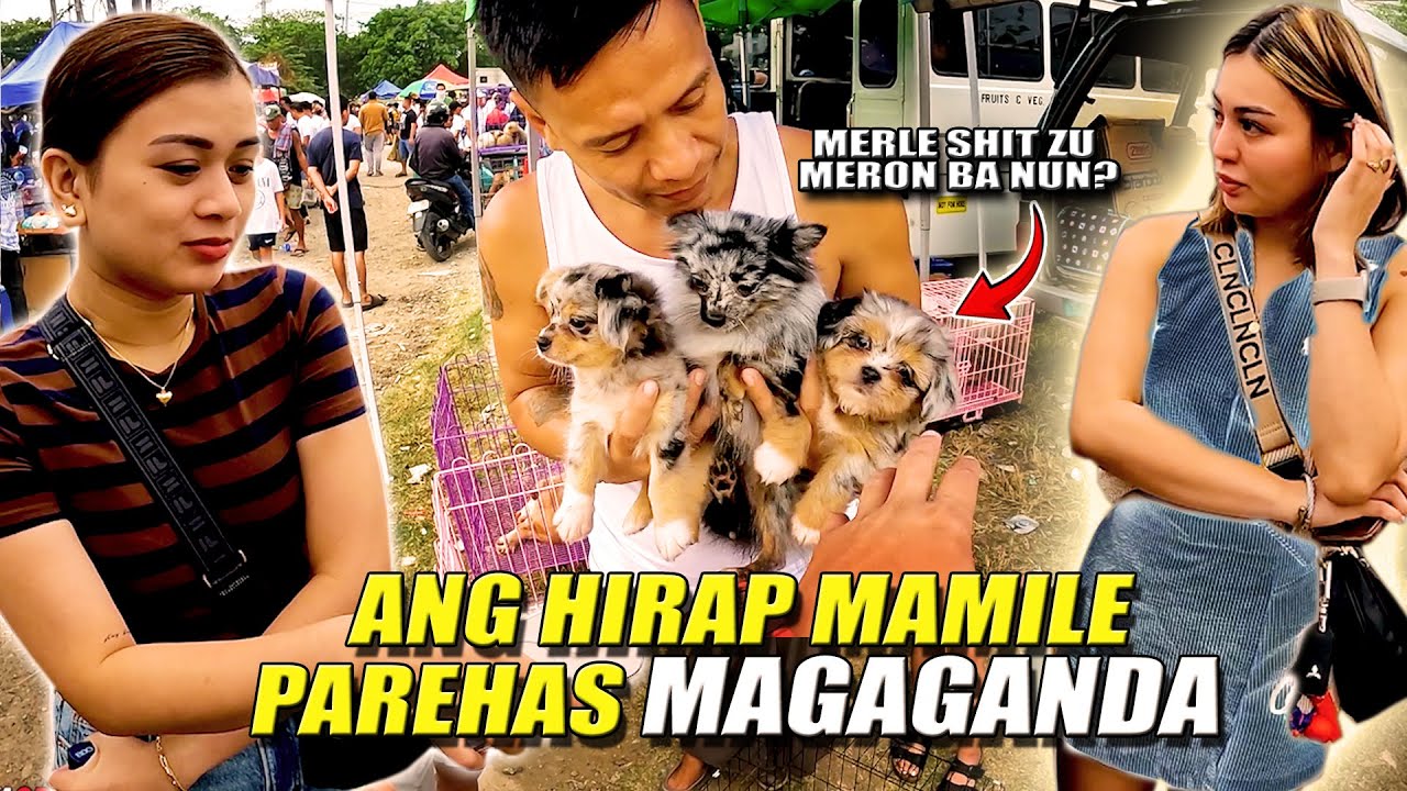PAGANDAHAN NG ALAGA O NG NAG-AALAGA ?