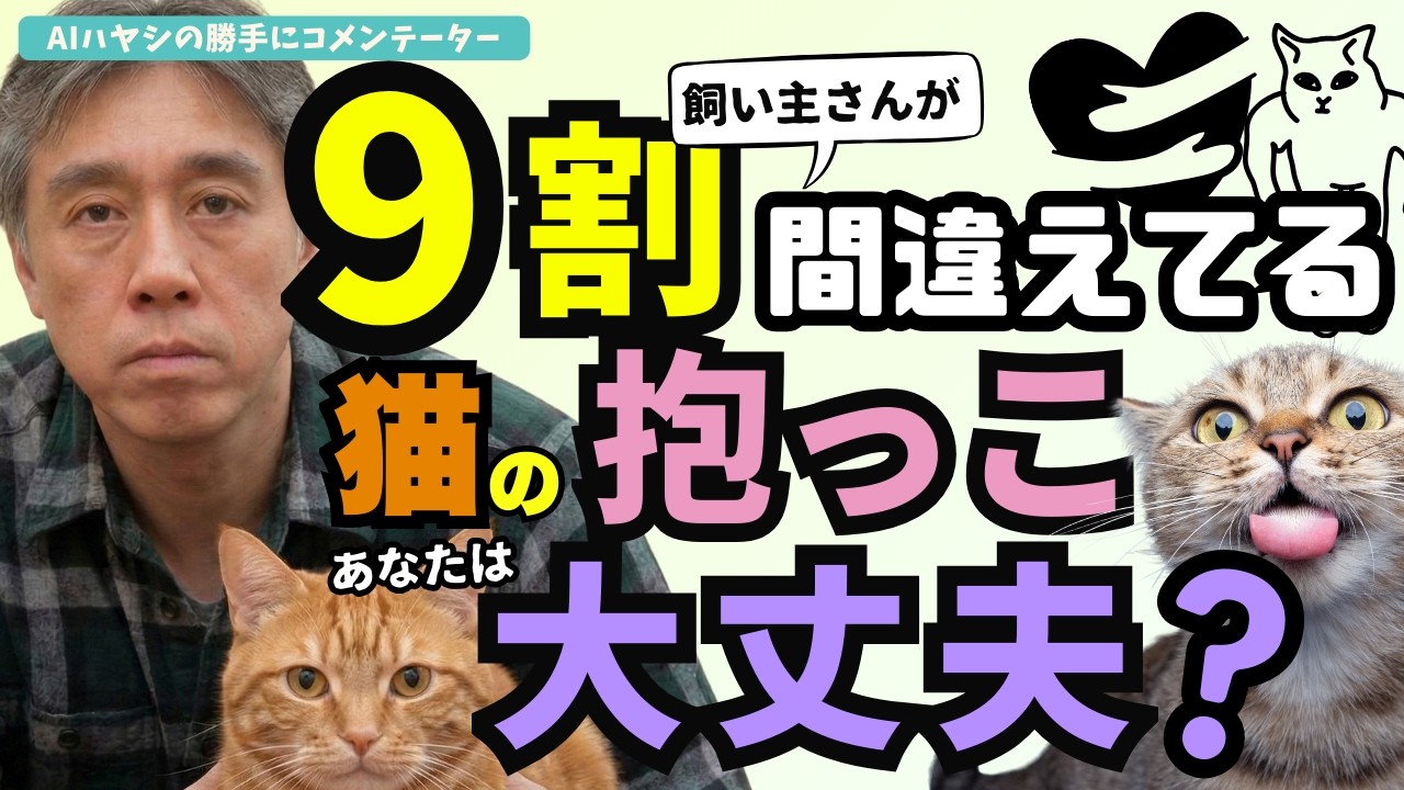 【完全攻略】猫の抱っこ 9割の飼い主さんが嫌がられてます
