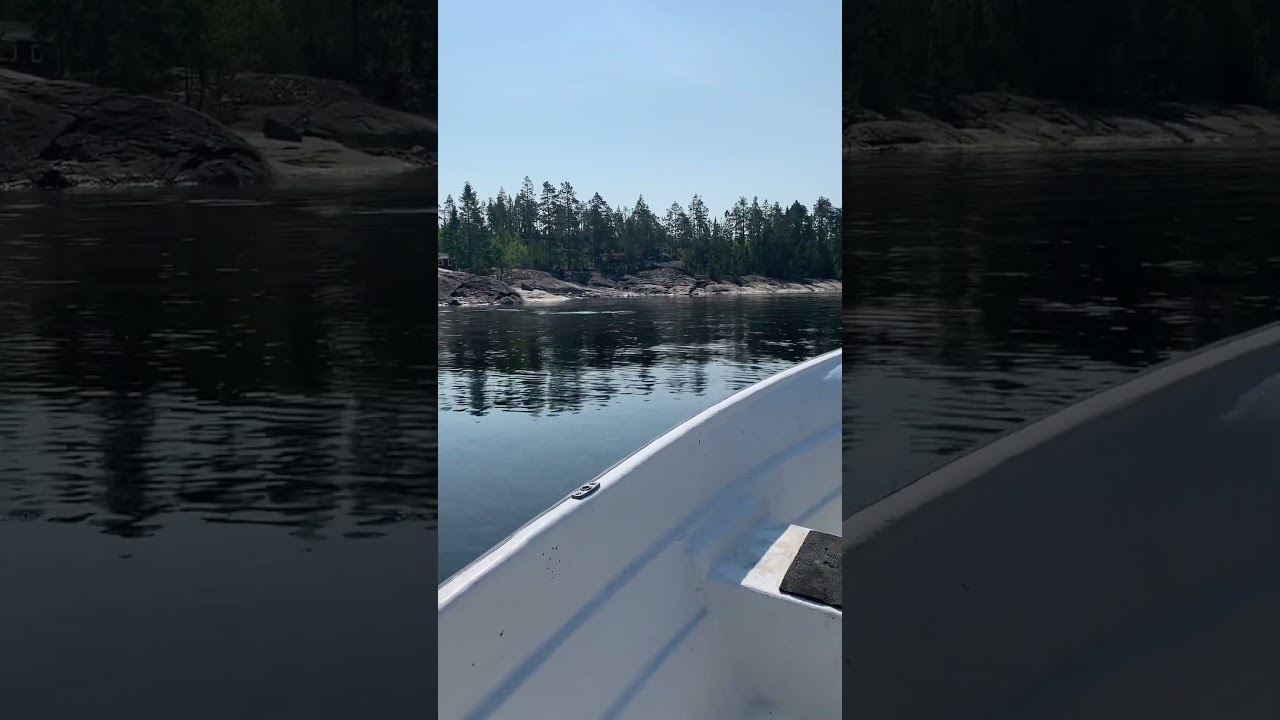 Storkalven Aln&ouml;