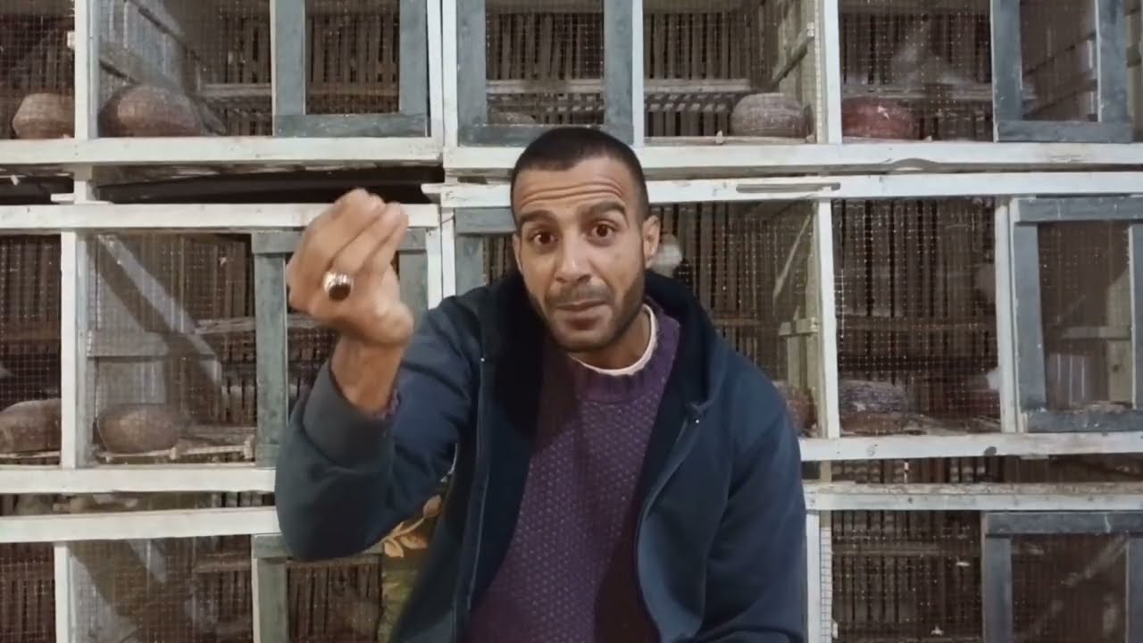 قصص مساويد#حسين_الخطيب