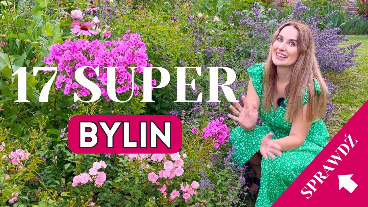 17 SUPER BYLIN - BYLINY DO SŁOŃCA I DO CIENIA