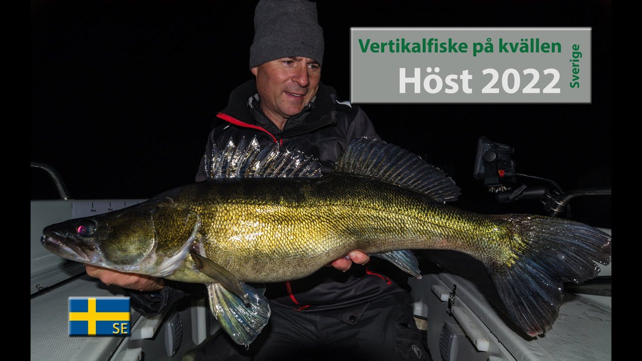 Vertikalfiske höst 2022