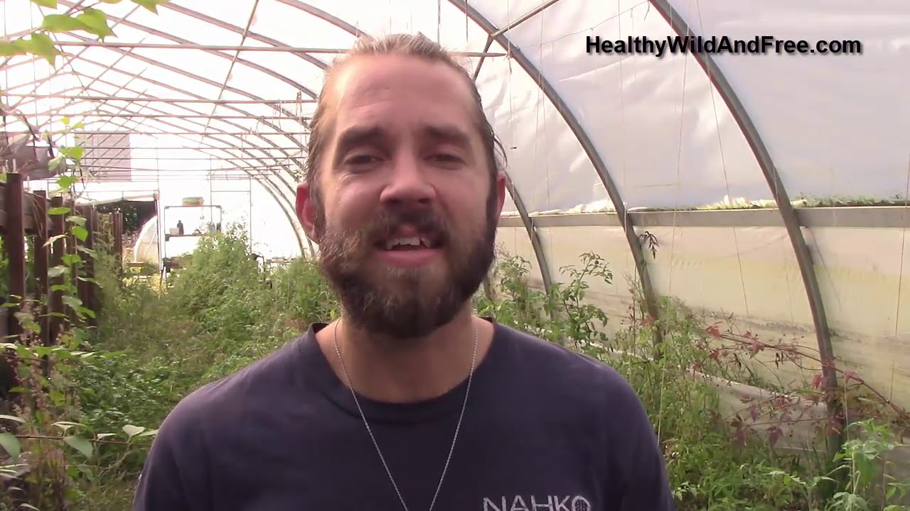 Don't Buy Another Green Superfood Powder Before Seeing This
