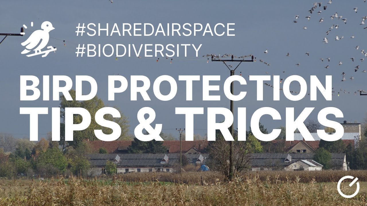 Protecting birds around power lines: Solutions & implementation issues - Liam Innis, RGI