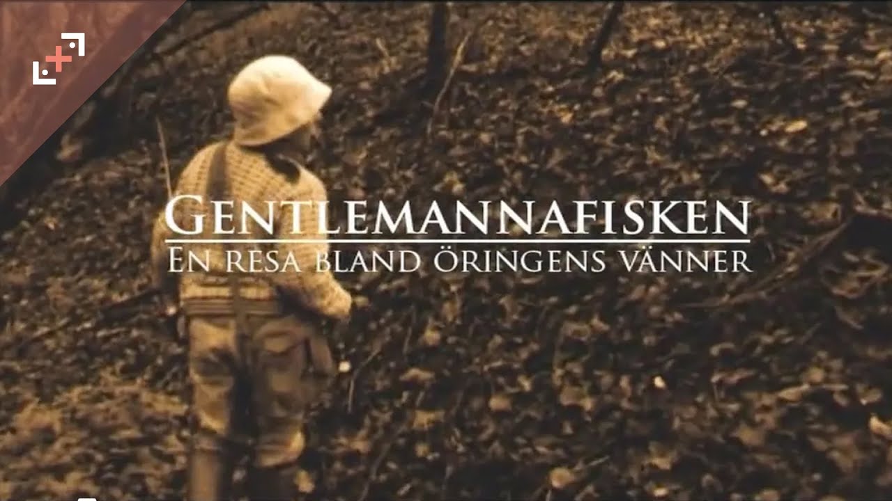 Gentlemannafisken - en resa bland öringens vänner