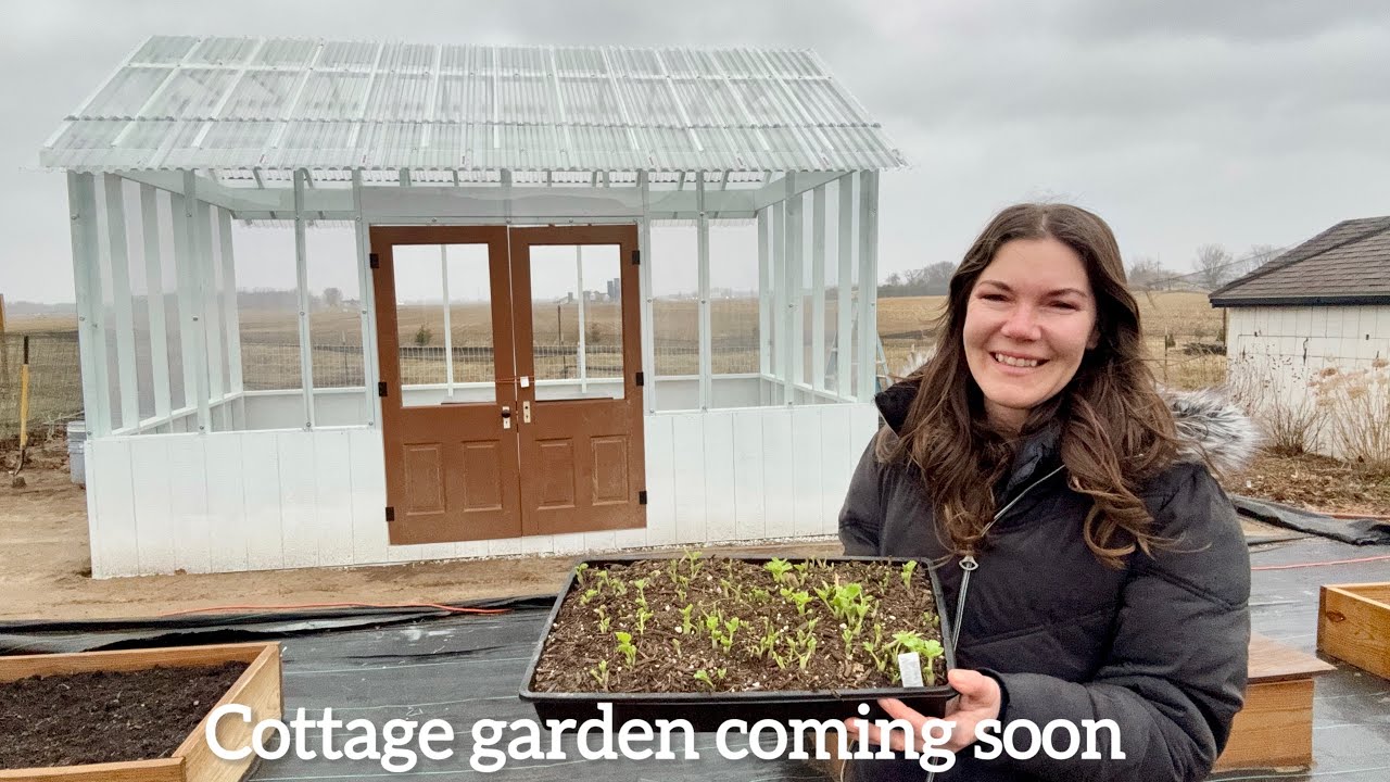 New Flower Seeds Arrived + Greenhouse Update & Ranunculus Progress 