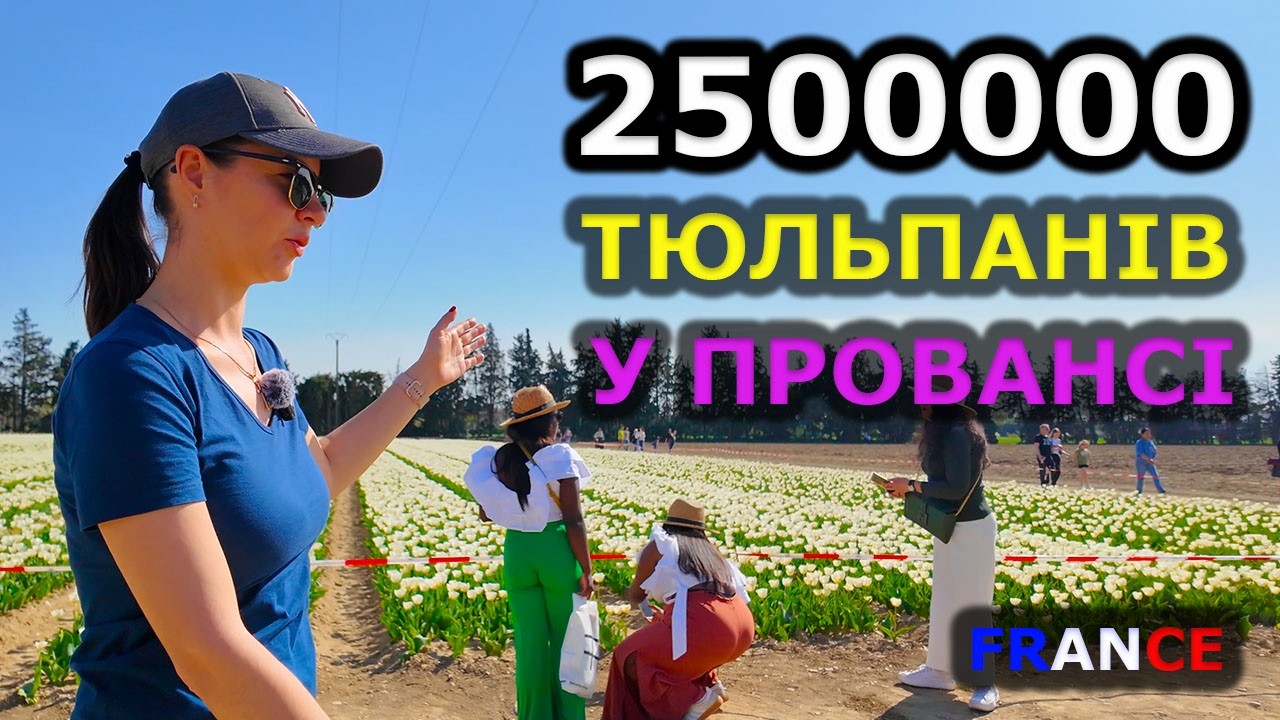 ТЮЛЬПАНИ у Провансі🌷 Jonqui&egrave;res &ndash; Найкрасивіше місце Франції навесні